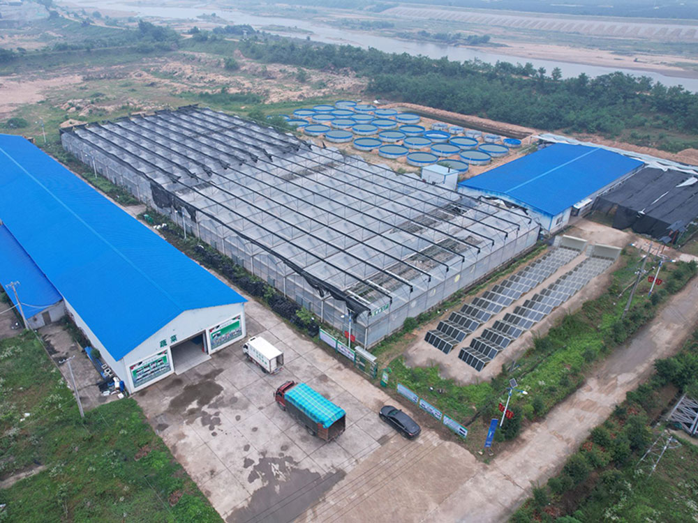 Solar Power Containers for Alimentation électrique fournie par vous-même